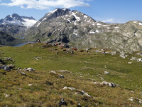 Lac Bramant - Les grandes rousses